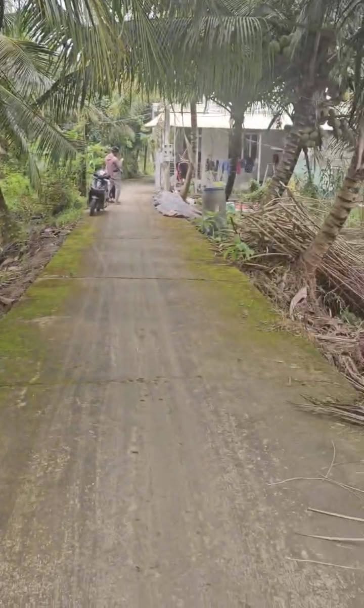 Đất vườn Tân Hội Cai Lậy 2000m² giá 1.4 tỷ - Đầu tư sinh lời tuyệt vời!