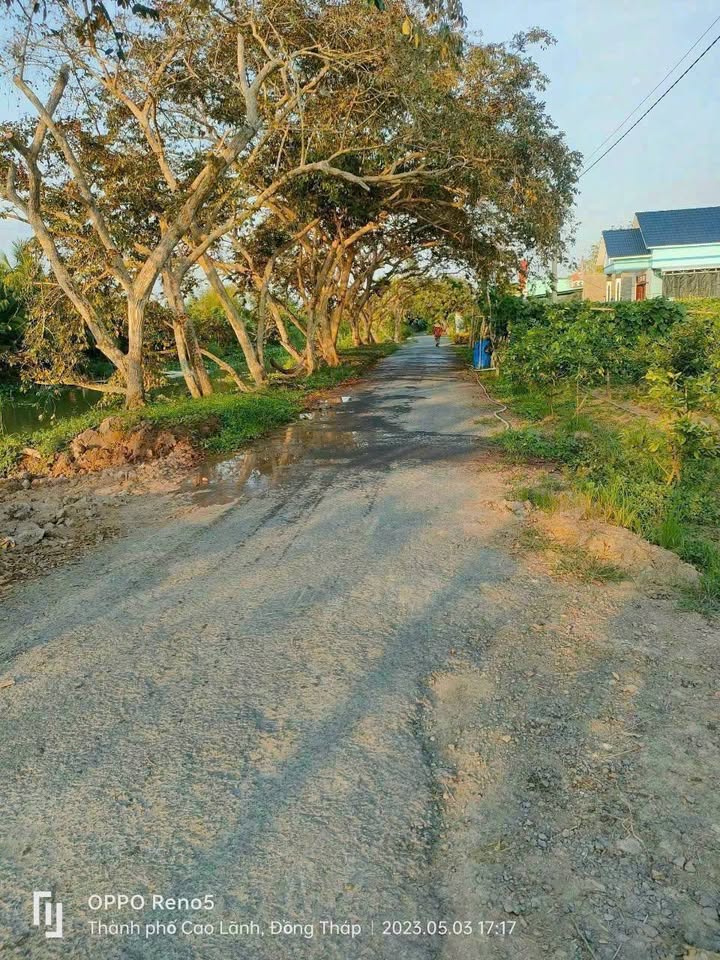 Đất nền liền kề 162m² giá 1.1 tỷ - Vị trí đẹp tại Mỹ Ngãi, Đồng Tháp