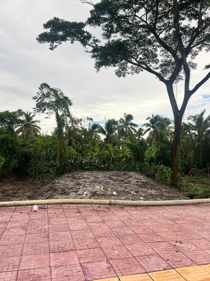 Đất nền đường Võ Văn Kiệt, Vĩnh Long 135m² giá 4.05 tỷ - Đầu tư sinh lời ngay!