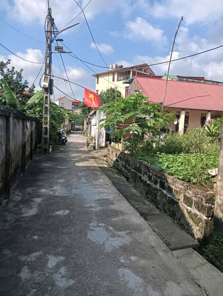 Đất Vân Từ Thanh Trì 62,5m² giá tốt - Tiềm năng phát triển lớn!