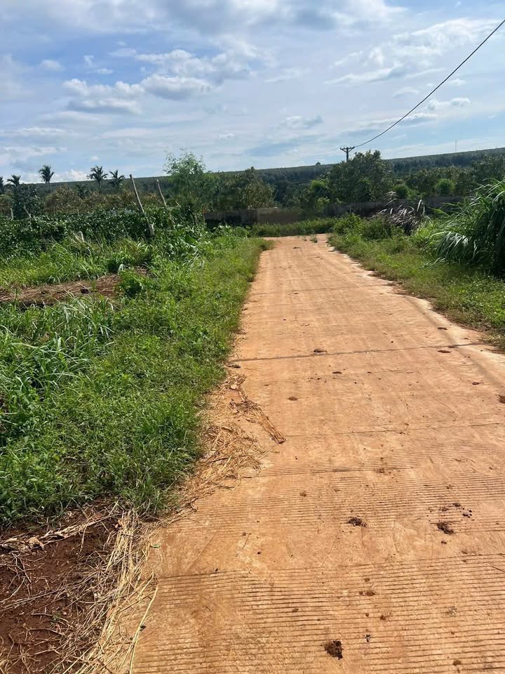 Đất nền Cư Bao, Buôn Hồ - 450m² giá 1.25 tỷ - Đầu tư sinh lời cao!