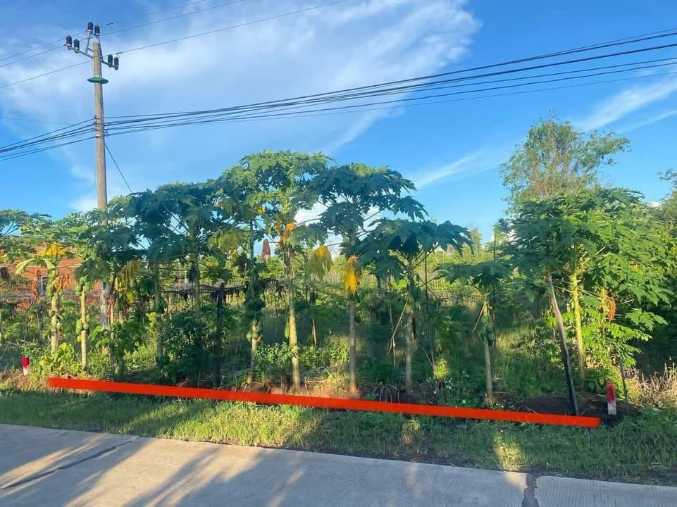 Đất thổ cư 504m² tại xã Ea M'nang - Giá chỉ 700 triệu - Đất chính chủ, vị trí tiềm năng!