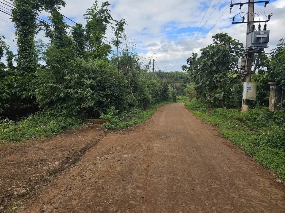 Đất rẫy 5 xào tại Ea Kiết, Cư M'gar - Giá chỉ 570 triệu/xào, cần bán gấp!