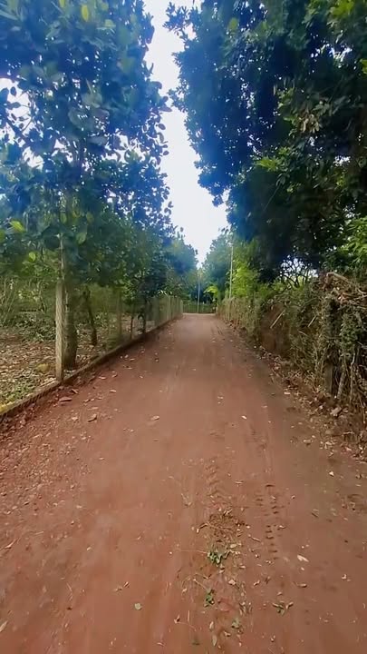 Đất nền 300m² phường Bảo Vinh, Long Khánh - Giá 1.19 tỷ, sổ riêng chính chủ!