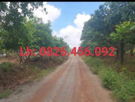 Đất trục chính trung tâm huấn luyện công an Tân Đồng 360m² giá 1 tỷ - Cơ hội đầu tư tuyệt vời!