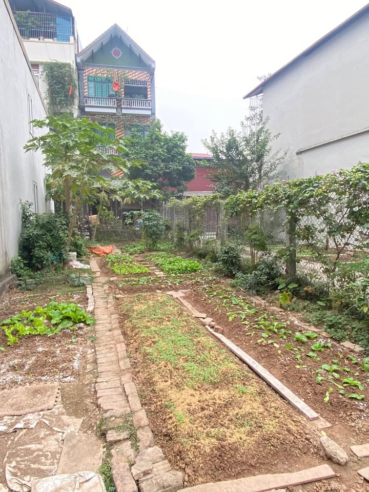 Đất nền Phú Lương Hà Đông 51m² - Giá thỏa thuận cực hấp dẫn!