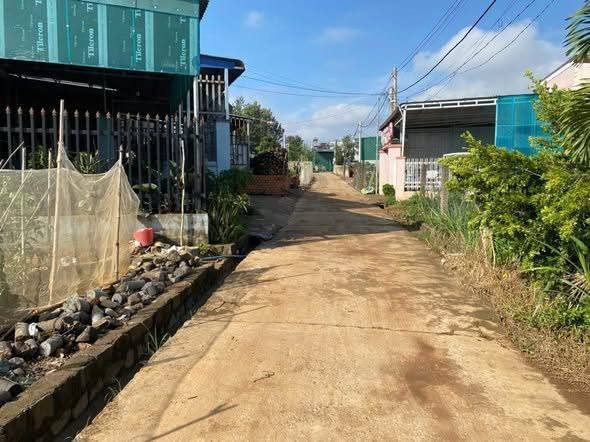 Đất nền Tân Hội Đức Trọng 193m² giá 1.5 tỷ - Gần chợ, tiện ích đầy đủ!