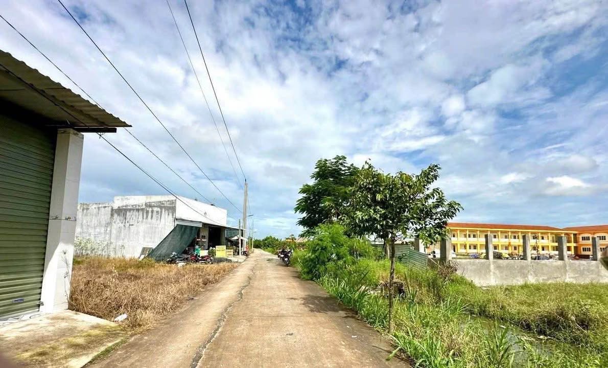 Đất thổ cư 244m² tại Long Định, Cần Đước - Giá chỉ 2.2 tỷ, đầu tư sinh lời!