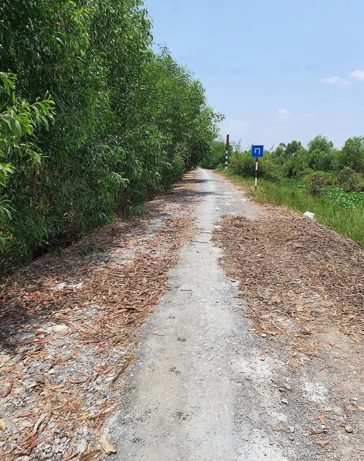 Đất vườn mặt tiền kênh mương Trám, xã Thạnh Lợi, Bến Lức 20.000m² - Giá chỉ 6.5 tỷ VND!