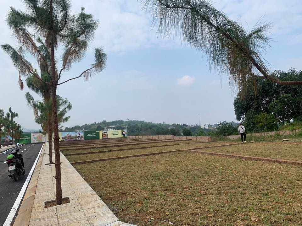 Đất nền Hòa Thạch - Hòa Lạc 100m² giá chỉ 2 tỷ - Pháp lý rõ ràng!