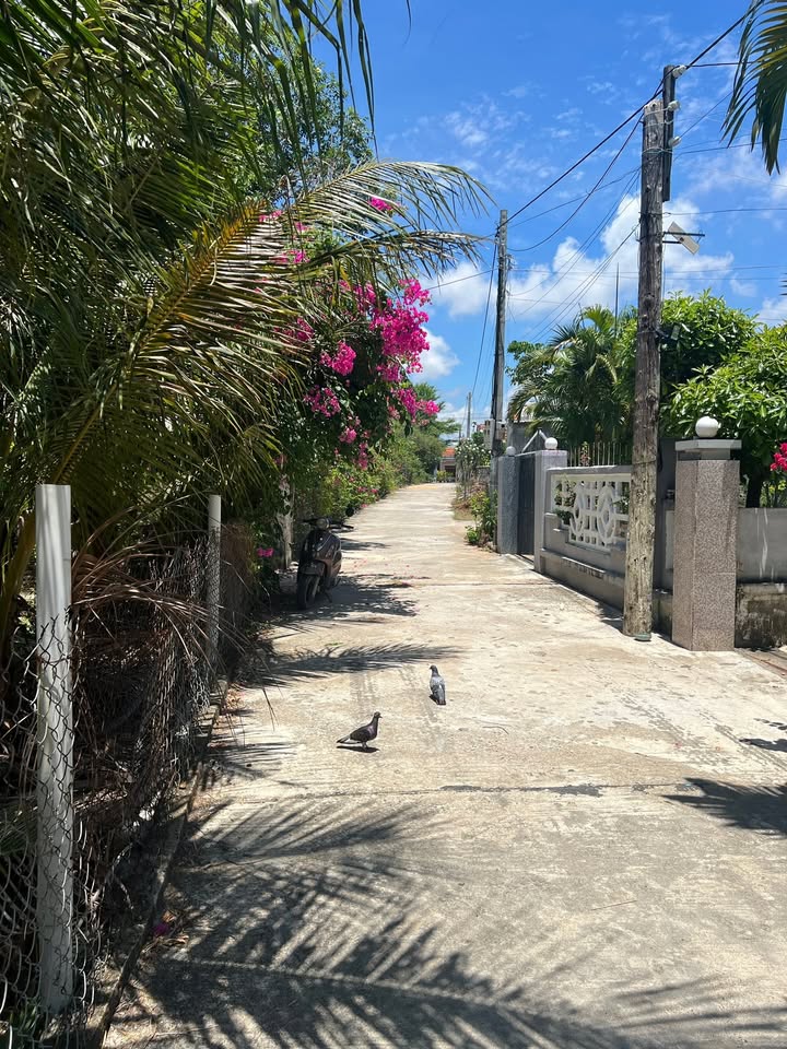 Đất nền Hòa Hiệp Trung, Đông Hòa 300m² giá thỏa thuận - Sổ đỏ chính chủ!