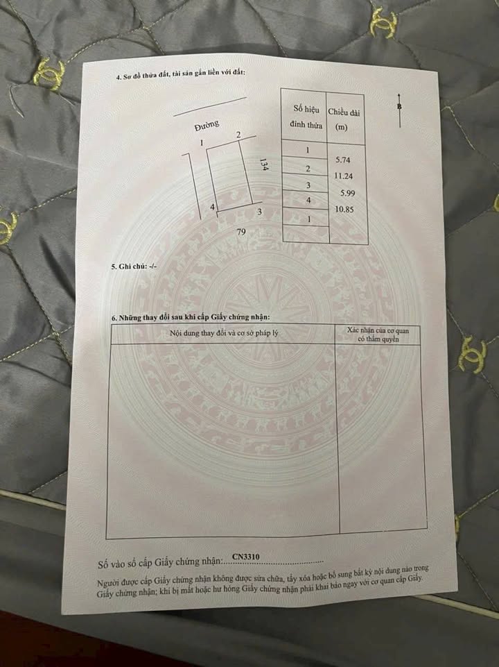 Đất nền trục chính Chỉ Đạo 65m² giá thỏa thuận - Cơ hội đầu tư hiếm có!