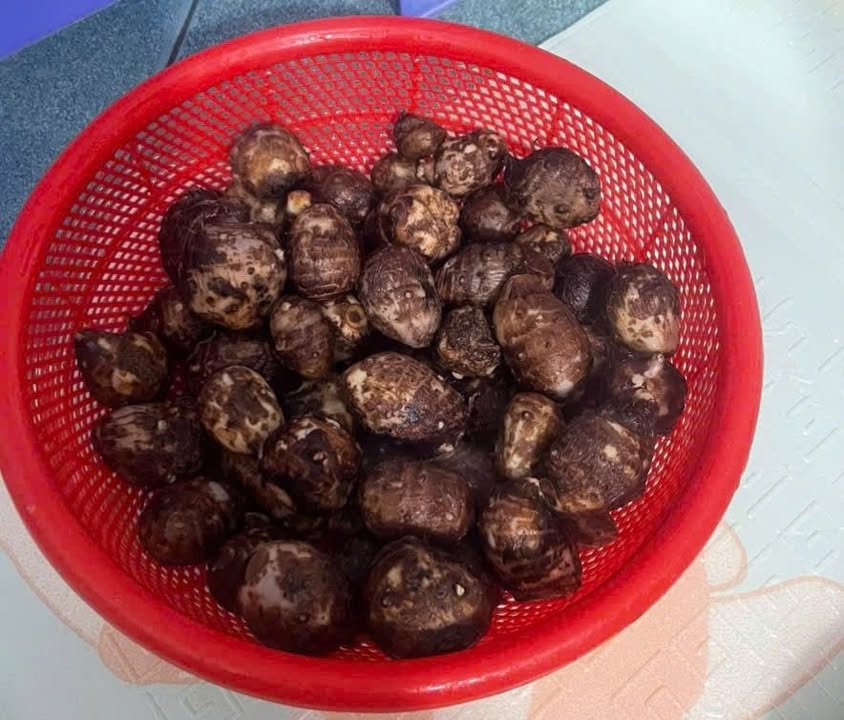 Nhà cho thuê Hẻm Nguyễn Đức Thuận Nha Trang 65m² - Nội thất cơ bản, giá chỉ 3 triệu!