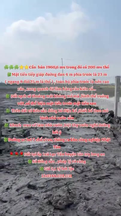 Đất vườn 1960m² tại Lạc Tấn, Tân Trụ - Sổ Hồng chính chủ, giá 2.1 tỷ!