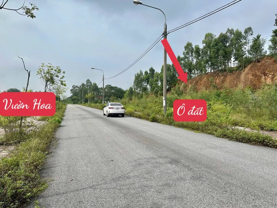 Đất nền Tam Hợp 100m² giá 1.7 tỷ - Đường rộng 16.5m, view vườn hoa