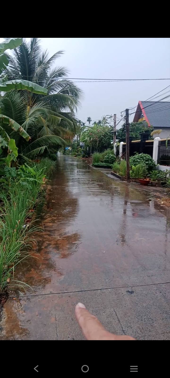 Đất nền 9000m² tại Ấp 7 Lương Hòa, Bến Lức - Giá 13.5 tỷ, cơ hội đầu tư tuyệt vời!