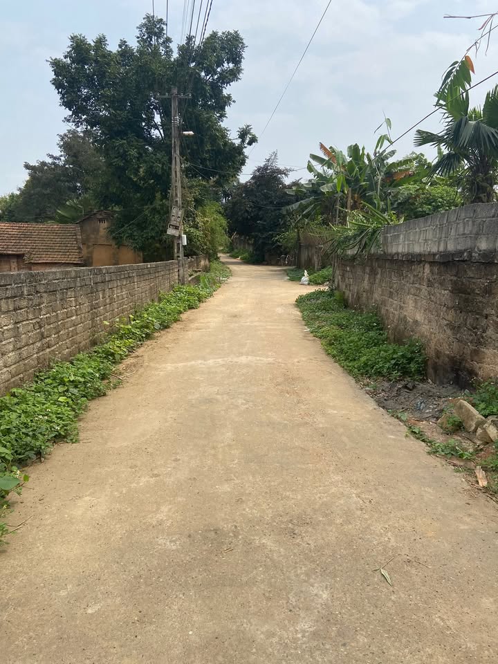 Đất nền Tiên Kiên Lâm Thao 375m² giá 1.8 tỷ - Khu dân cư đông đúc, giao thông thuận lợi!