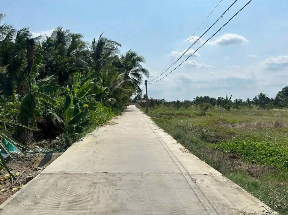 Lô đất thổ cư ấp Bình Trị 1, Châu Thành, Long An 175m² giá 420 triệu - Sổ hồng chính chủ!