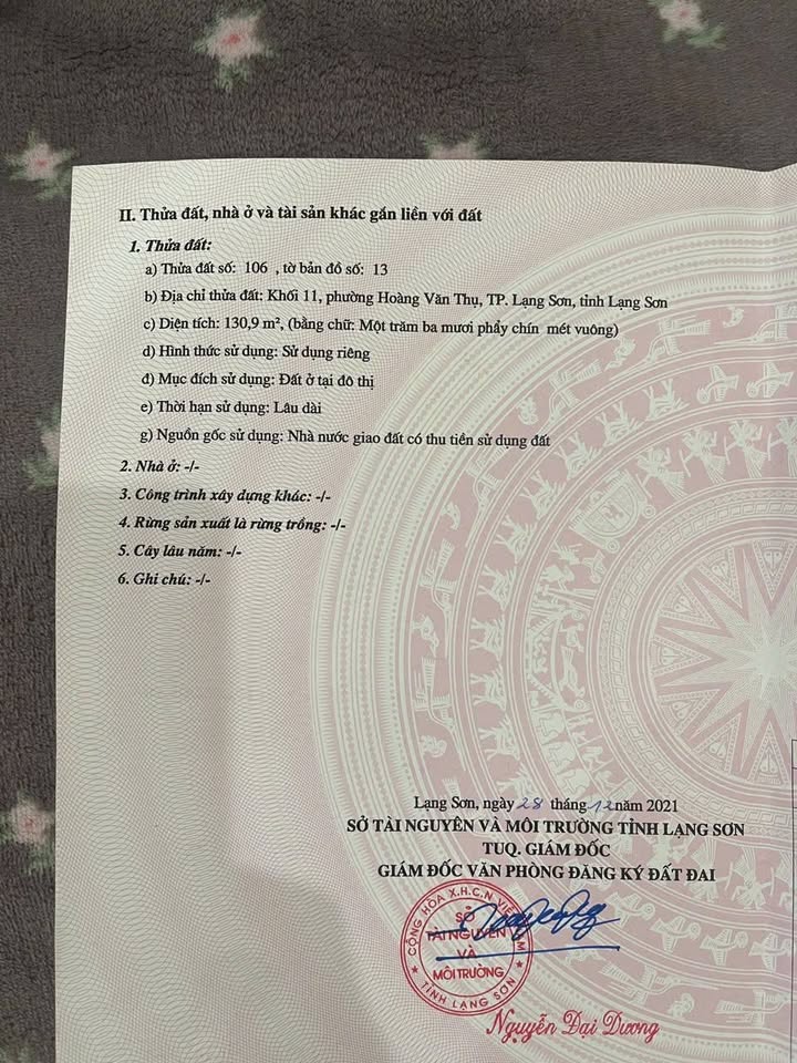 Nhà 1 tầng đường Tông Đản phường Kỳ Lừa 131m² giá 4.x tỷ - Vị trí đẹp không ngập lụt!