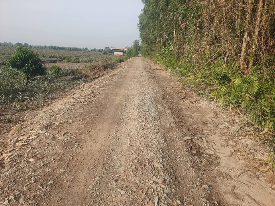 Đất nền Tân Phước, Thủ Đức 60000m² giá 1.08 tỷ - Cơ hội đầu tư sinh lời!