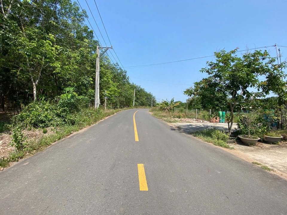 Đất SKC Vĩnh Hòa, Phú Giáo 17.000m² giá 19 tỷ - Cơ hội đầu tư lý tưởng!