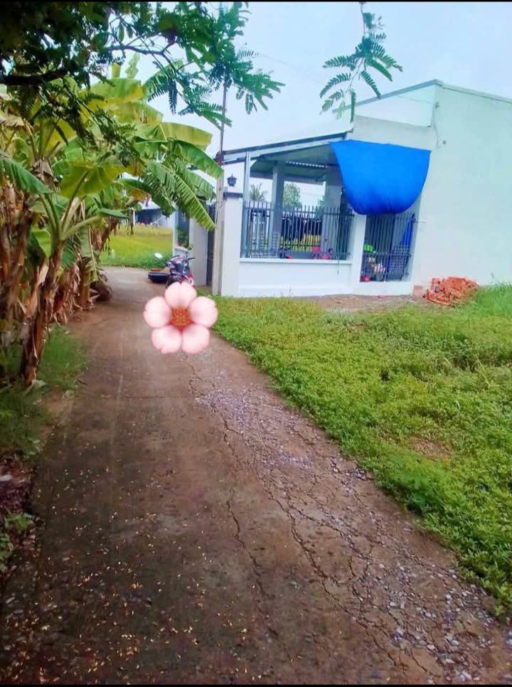 Đất nền Sơn Qui A, Gò Công 95m² giá 500 triệu - Cần bán gấp chính chủ!