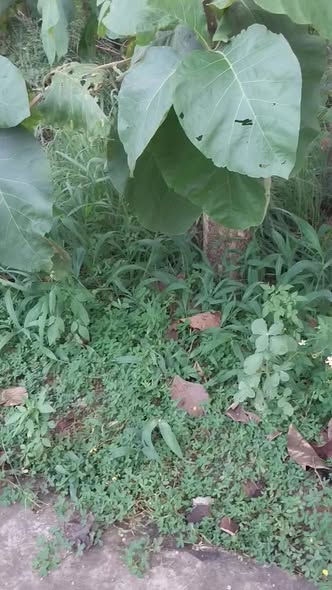 Đất nền xã Phú Hòa Định Quán 1112m² giá 1.112 tỷ - Bán gấp, cơ hội đầu tư!