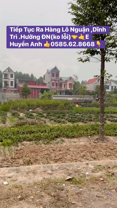 Đất nền Dĩnh Trì, Bắc Giang 75m² giá 2.5 tỷ - Cơ hội đầu tư hấp dẫn!