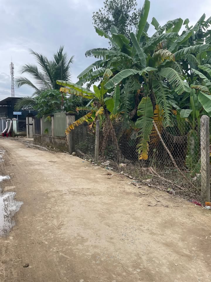 Đất nền Diên Lâm - Diên Khánh 650m² giá 2.925 tỷ - Gần trung tâm Nha Trang!