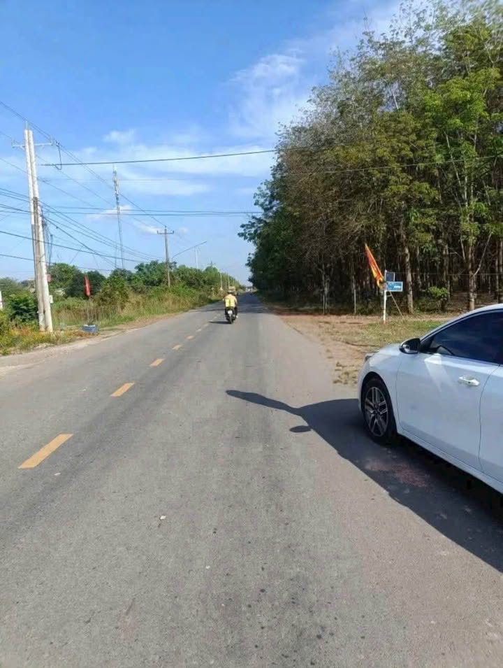 Đất nền Mặt tiền đường ĐT 746, xã Tân Định, 810m² - Đầu tư sinh lời ngay!