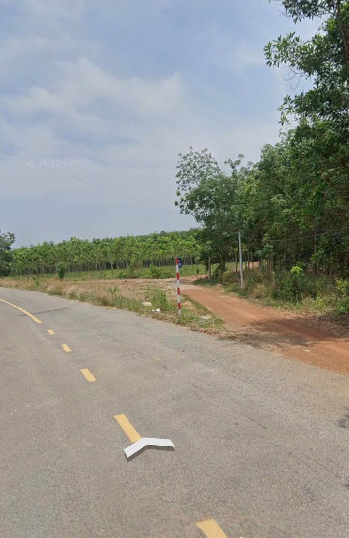 Đất nền mặt tiền đường DH 519, xã Phước Sang, huyện Phú Giáo 30.000m² giá 27 tỷ - Lô góc đẹp, đầu tư tiềm năng!