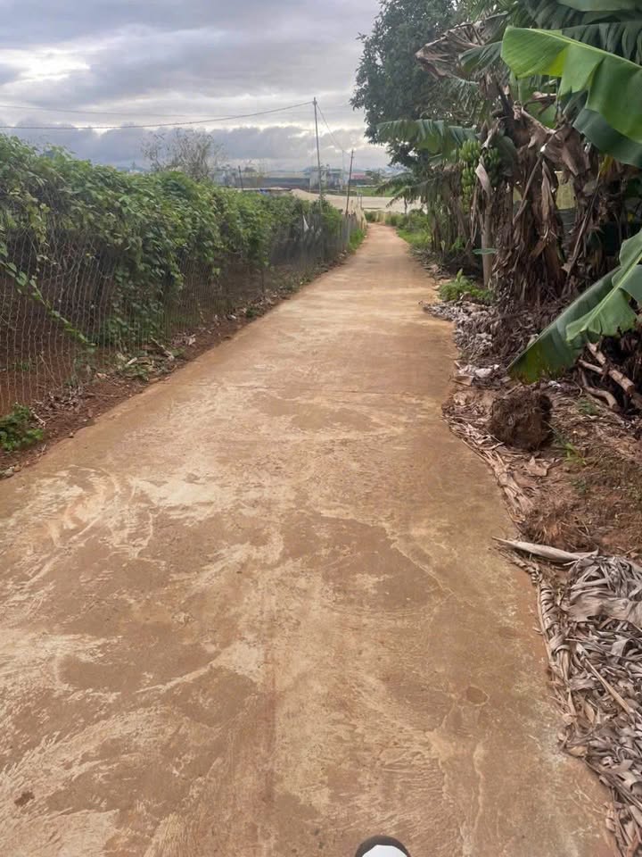 Đất thổ cư 400m² tại Ka Đô, Đơn Dương - Giá chỉ 900 triệu, sẵn sàng trồng rau, nuôi gà!