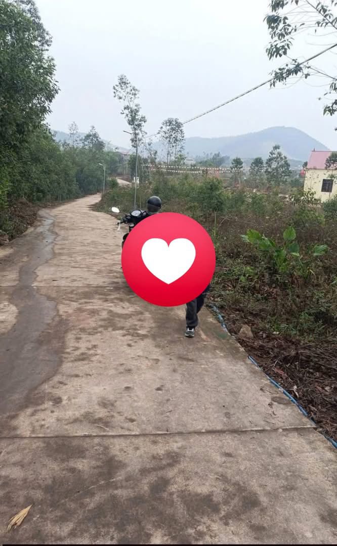 Đất Farm Tân Mộc Lục Ngạn 1300m² giá 500 triệu - Lựa chọn lý tưởng cho nghỉ dưỡng!