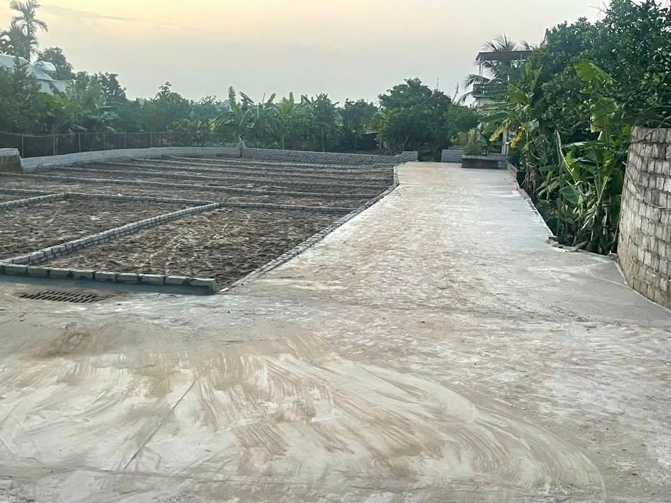 Đất nền Tri Thủy Phú Xuyên 83m² giá 1.9 tỷ - Đầu tư sinh lời cao!