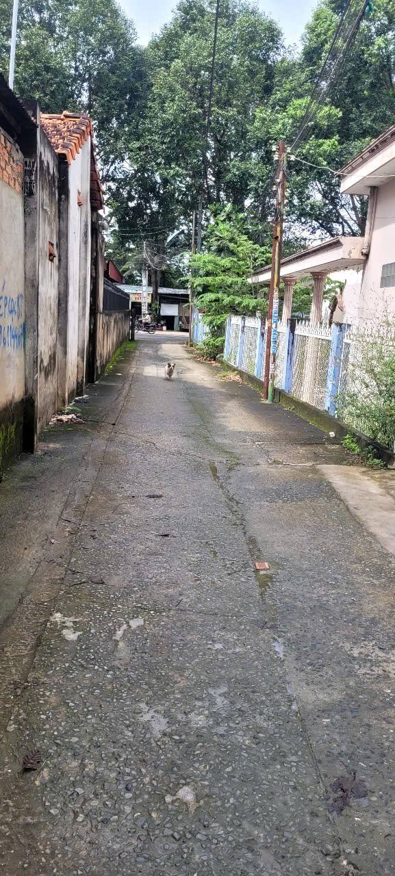 Đất nền Chánh Nghĩa Thủ Dầu Một 567m² giá 8.9 tỷ - Đầu tư sinh lời ngay!