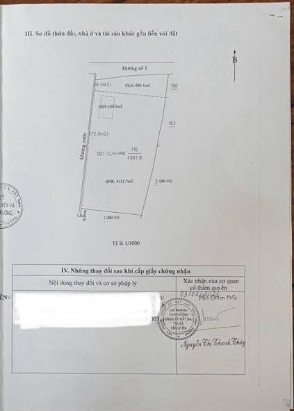 Đất nền Tân Uyên 5000m² giá thỏa thuận - Mặt tiền đường số 1, cơ hội đầu tư hấp dẫn!