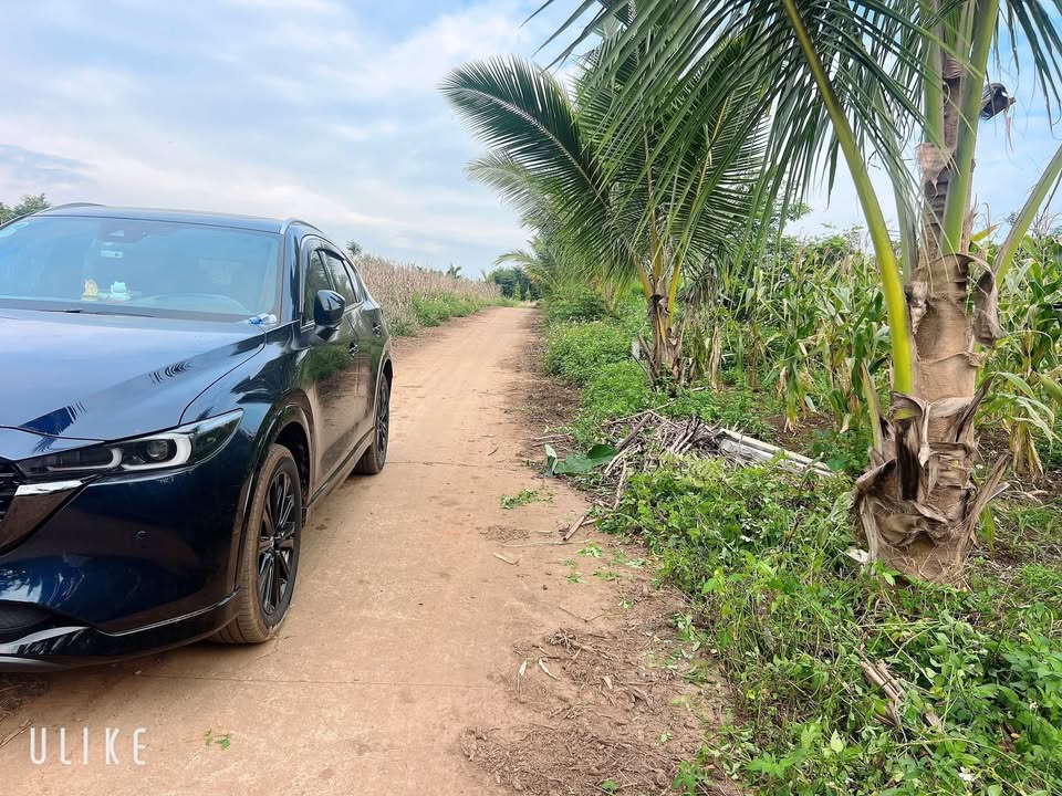 Đất nền xã Ea Tiêu 156m² giá chỉ 300 triệu - Đầu tư sinh lời ngay!