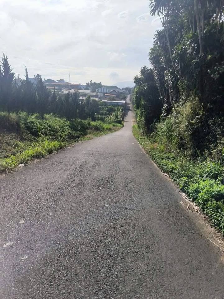 Đất 1600m² Hẻm Trần Phú, Lộc Tiến giá 8.5 tỷ - Hướng Tây, đường nhựa thông thoáng!