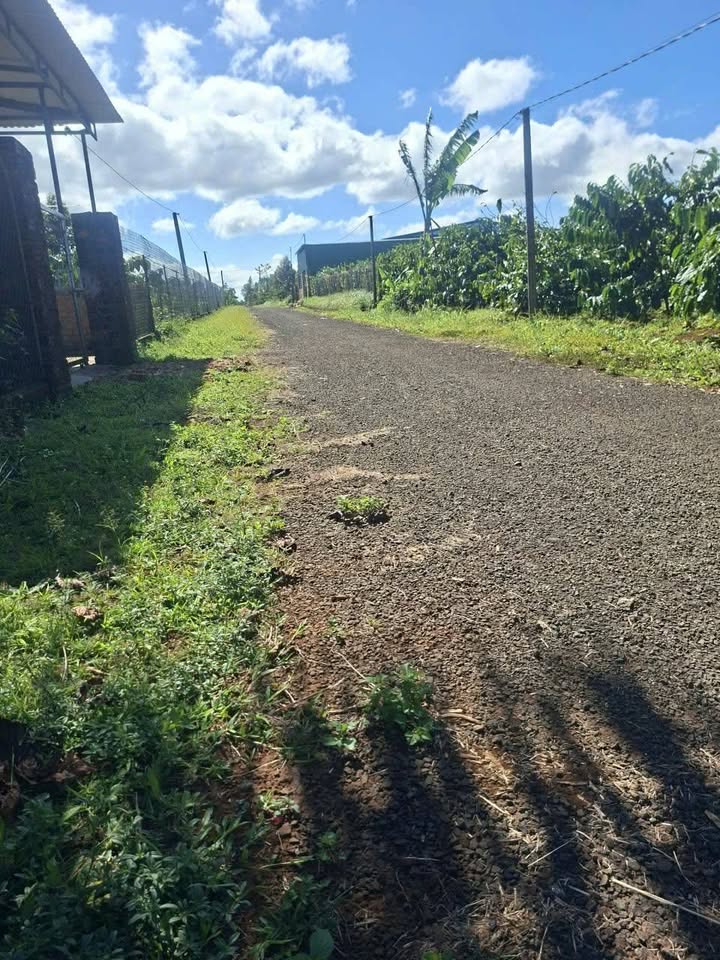 Đất nền hẻm 196 Nguyễn Kiệm, Pleiku 160m² giá 300 triệu - Cơ hội đầu tư tuyệt vời!