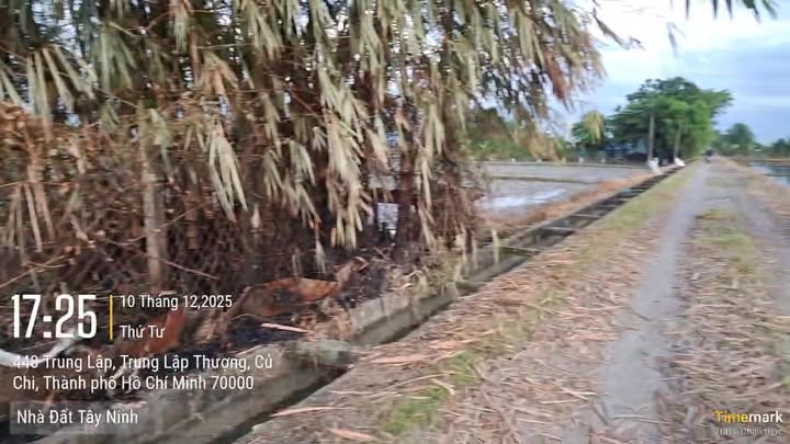 Đất nền Trung Lập Thượng, Củ Chi 900m² giá 2.835 tỷ - Đầu tư sinh lời hấp dẫn!