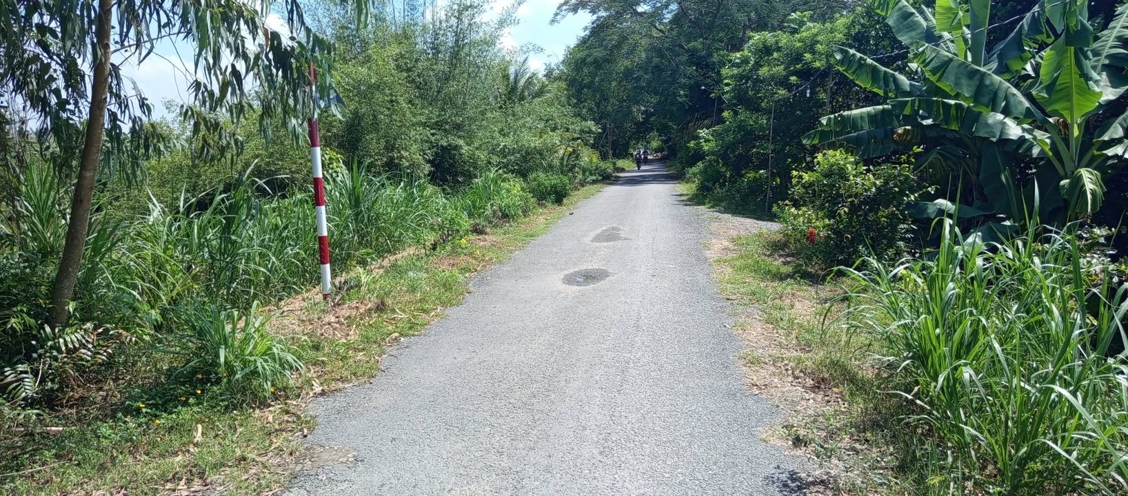 Đất mặt tiền xã Phước Lập, Tân Phước, 203m², chỉ 320 triệu - Đầu tư sinh lời!