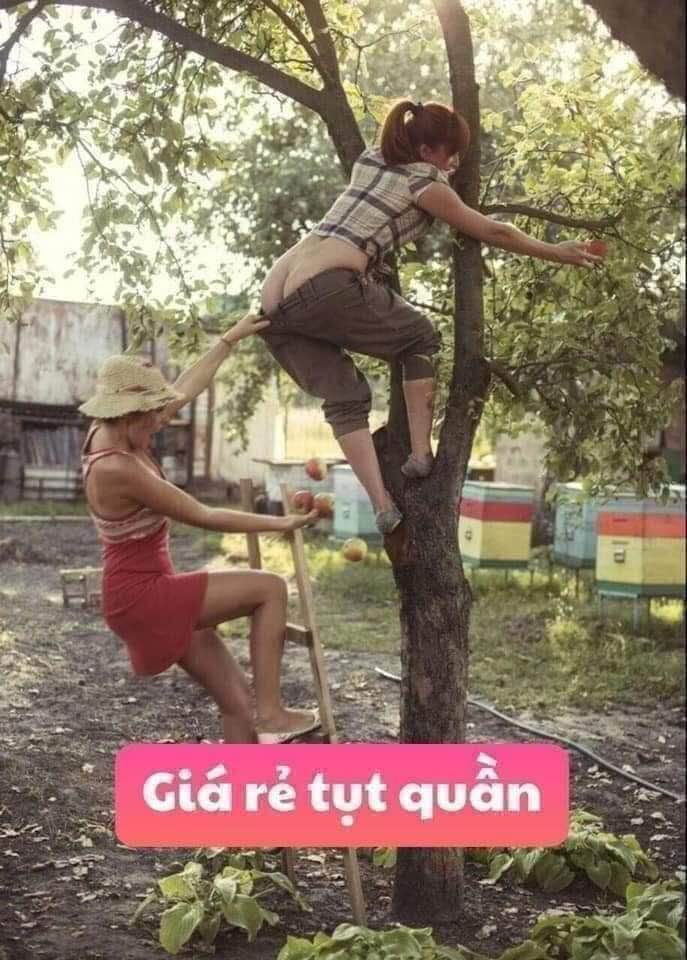 Đất nền Đông Minh Thanh Hóa 125m² giá 8xx triệu - Gần Hồ Điều Hòa!