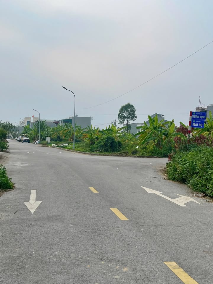 Đất nền Phường Đa Mai, Bắc Giang 103m² giá 3.1 tỷ - Hướng Đông Nam, vị trí đắc địa!