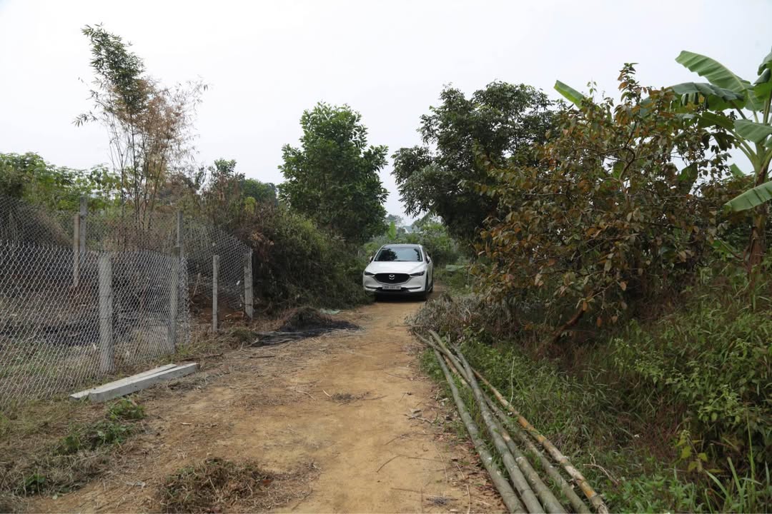 Đất vườn 1579m² tại Hợp Phong, Cao Phong - Giá chỉ 530 triệu!