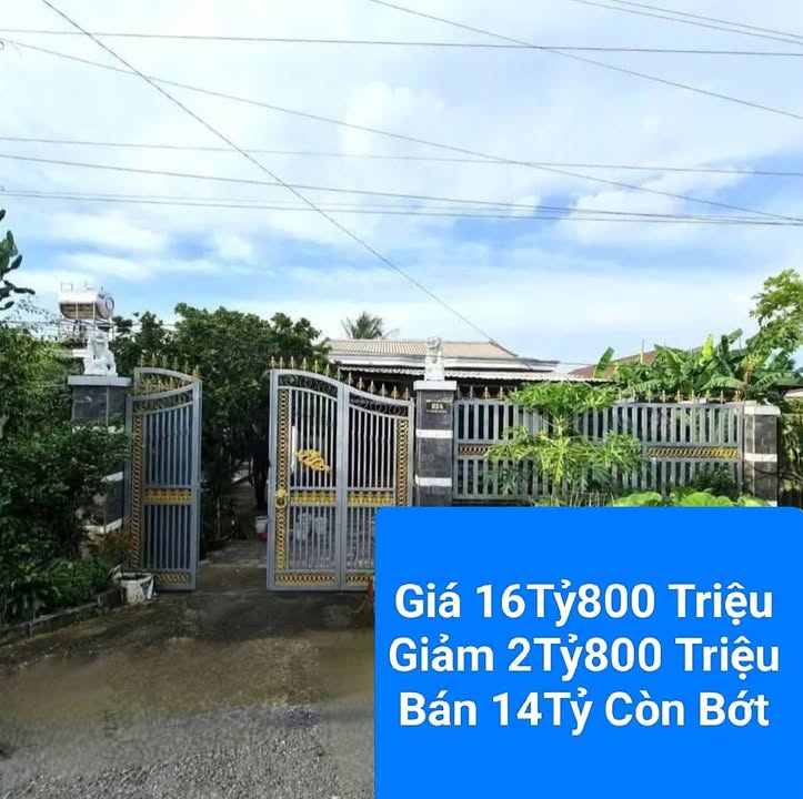 Nhà vườn 850m² tại Xuân Thới Thượng - Giá chỉ 14 tỷ, sổ hồng riêng!