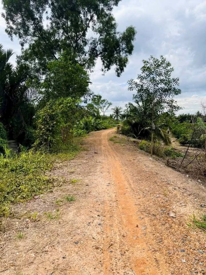 Bán đất vườn 4554m² mặt tiền Sông Vàm Cỏ Đông - Giá chỉ 1.1 tỷ!