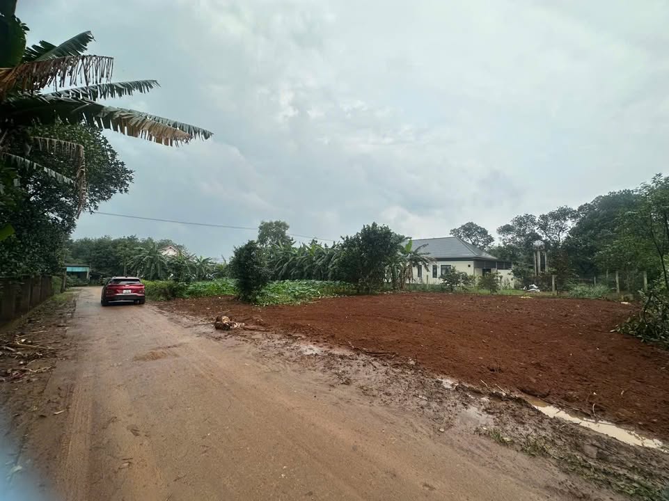 Lô đất đẹp 140m² tại Lê Hữu Trác, Hồ Xá - Giá cực mềm, cơ hội đầu tư hấp dẫn!