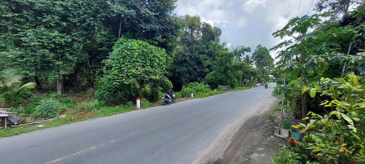 Đất nền 3453m² tại An Nhơn, Lương Phi, giá 3.476 tỷ - Cơ hội đầu tư hấp dẫn!