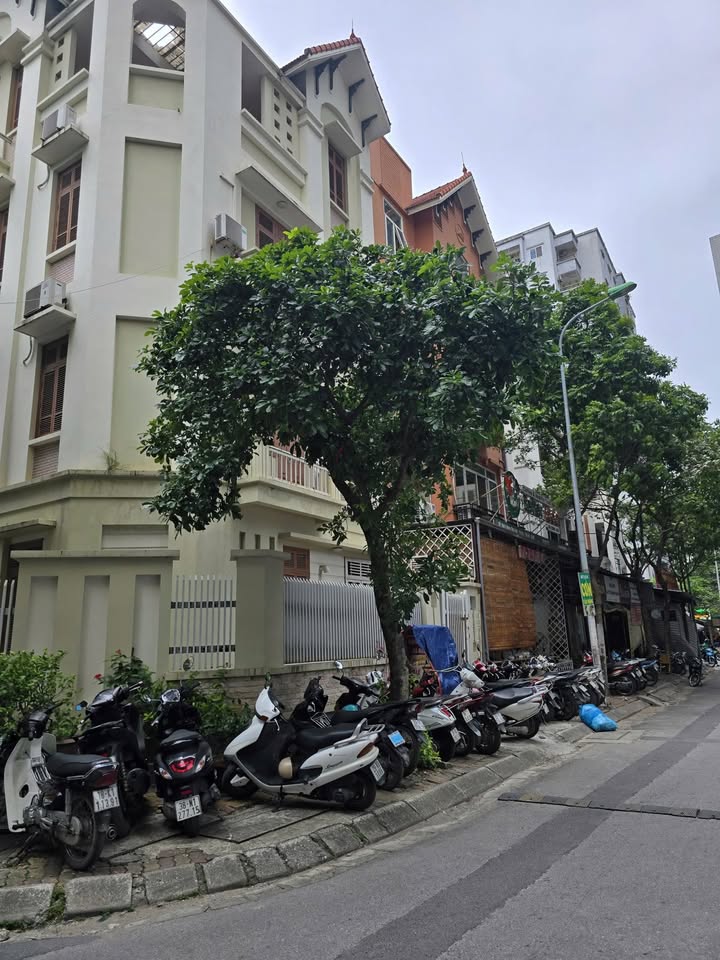 Biệt thự cho thuê tại Dương Đình Nghệ, Cầu Giấy 92m² giá 39 triệu - Không gian sống lý tưởng cho gia đình!