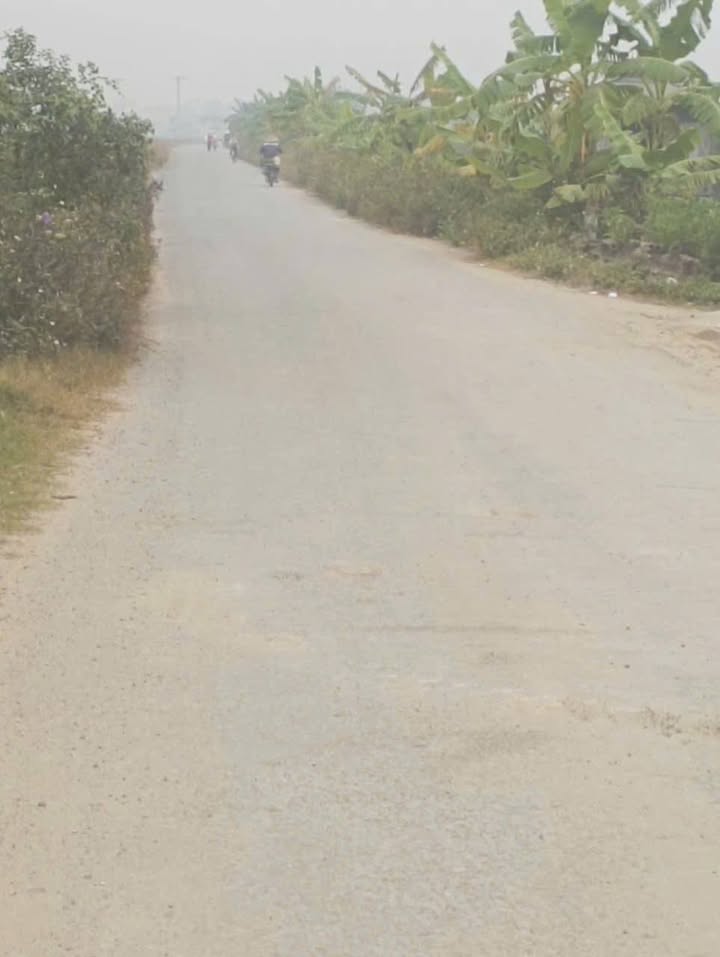 Đất nền Đình Cao 132m² giá 1 tỷ - Chính chủ bán gấp, cơ hội đầu tư tuyệt vời!